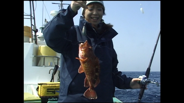 沖釣り大好き 南伊豆弓ケ浜でカサゴ釣り