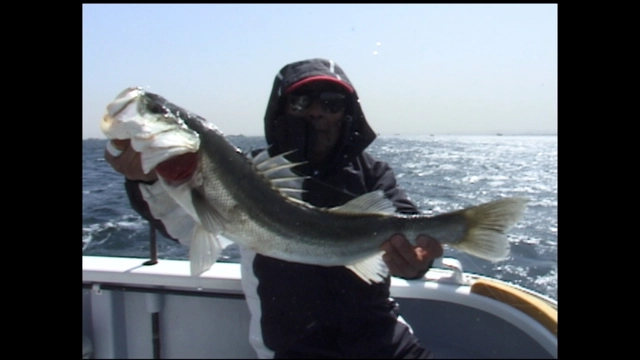 熟練の沖釣り！