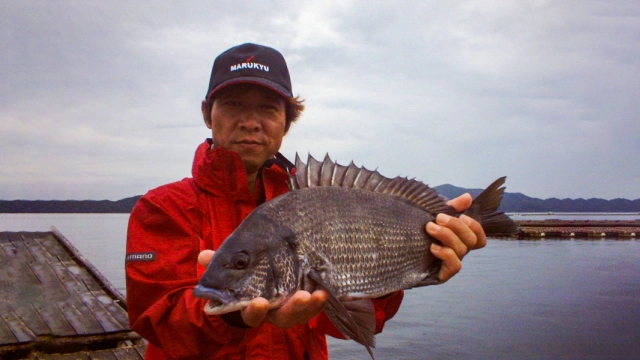 チヌ道一直線 1 「いざ！鳥羽本浦を斬る。」