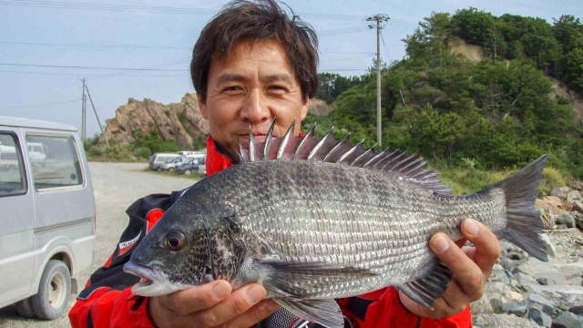 チヌ道一直線