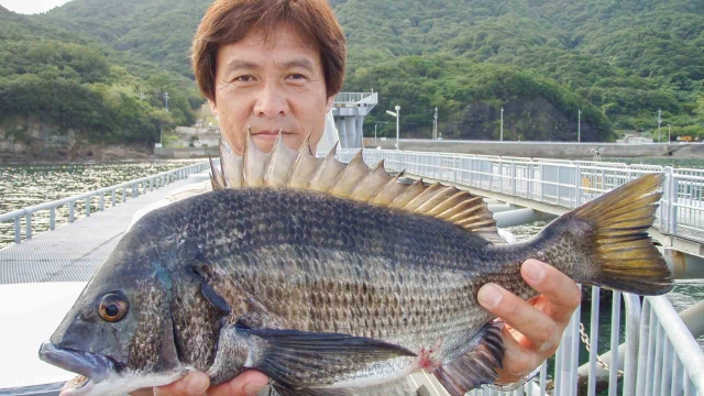 チヌ道一直線 其の二十六　山本太郎直伝　落とし込みの極意を伝授する