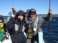 大漁！関東沖釣り爆釣会 その36   佐島沖の船アオリ