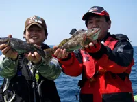 東北魚王 秋田県男鹿沖・走りのアイナメ釣り