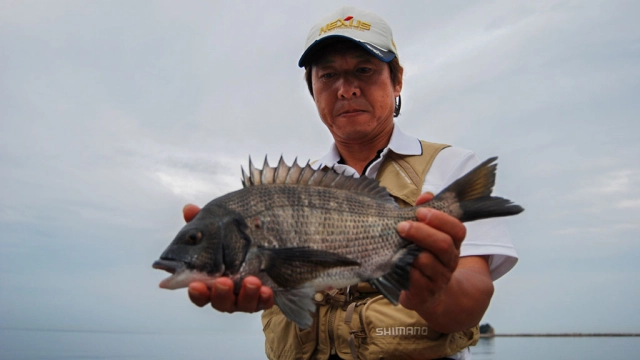 チヌ道一直線 其の三十七　いざ、タナを見極める！香川県･小豆島の落とし込み。