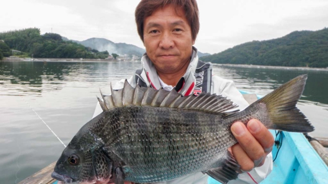 チヌ道一直線 其の三十八　最盛期のかかり釣り。数釣りの季節に良型を求める！