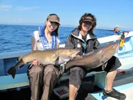 東北つれつれ団 12　岩手県宮古の夏ダラ