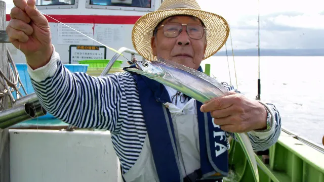 盛夏の東京湾でタチウオと興じる