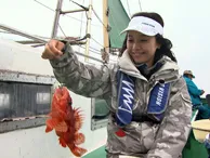 大漁！関東沖釣り爆釣会 その69 三浦半島 城ヶ島沖のオニカサゴ