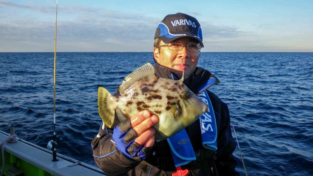 沖釣りギャラリー 東海のカワハギ名人・森啓至 千葉県富浦沖のカワハギに挑む！