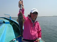 Capture-63 初夏の東京湾でマゴチ釣り