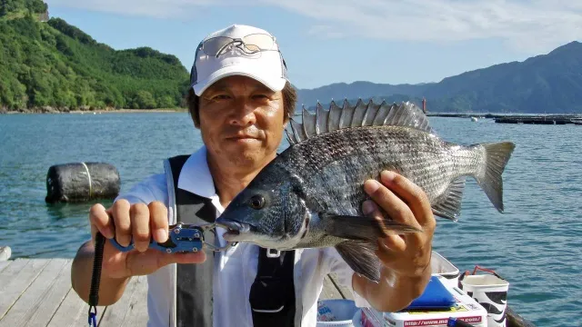 チヌ道一直線 其の四十九 盛夏のかかり釣り。引本浦で良型を求める！