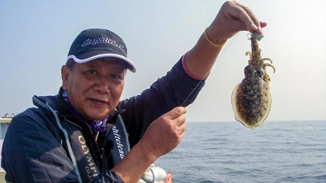 沖釣りギャラリー 東京湾のスミイカ