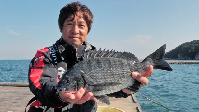 チヌ道一直線 其の五十一　爆釣！三重県で秋の数釣りに酔いしれて