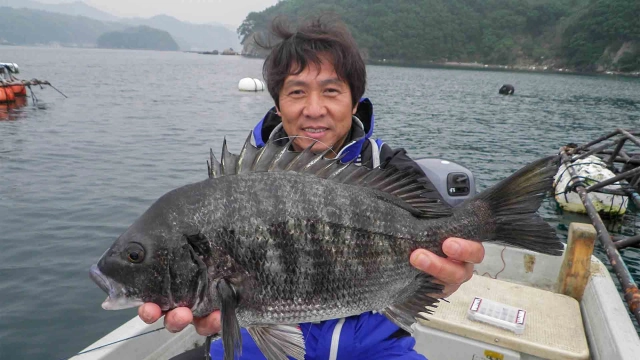 チヌ道一直線 其の五十四 いざ、番組記録更新！高知県・宿毛湾の超大物に挑む！