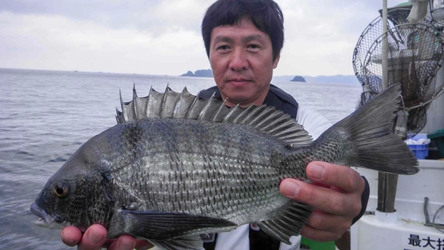 チヌ道一直線 其の六十一 通算500枚目を突破！和歌山県湯浅沖の船かかりを極める！