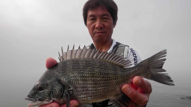 チヌ道一直線 其の六十二　岡山県牛窓沖の「ウキダンゴ釣り(紀州釣り)」！激流の中の夏チヌを極める！