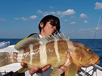 オフショアレボリューションNEXT Vol.69 玄界灘のごっつぉう便を釣ってモーニング!