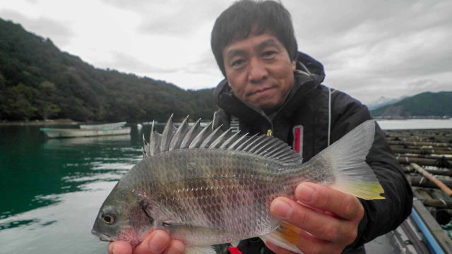 チヌ道一直線 其の六十三 時合いをモノにせよ！いざ、紀伊長島のかかり釣りを極める！