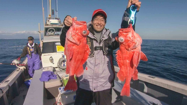 沖釣りギャラリー 真鶴沖・深海の緋花アコウダイ