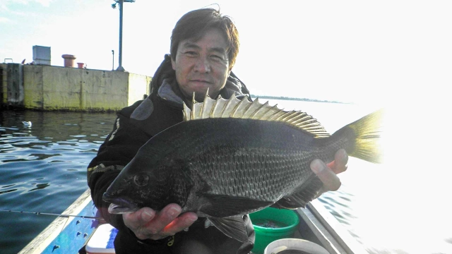 チヌ道一直線 其の六十四 海面を舞うカセ！いざ、清水港のかかり釣りを極める！