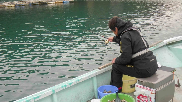 チヌ道一直線 其の六十五　北上するのっこみ前線！いざ、紀伊長島のモンスターに挑む！