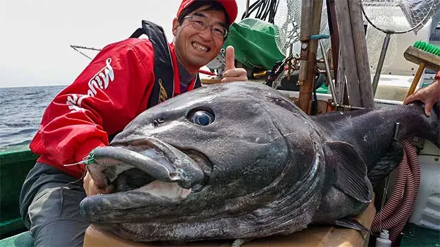 沖釣りギャラリー 究極の深海釣り 1000mのベニアコウ