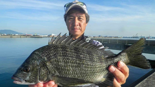 チヌ道一直線 其の六十七 夏の徳島県！いざ、初舞台の落とし込み釣りを極める！
