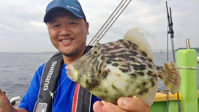 沖釣りギャラリー 東京湾 初秋のカワハギ