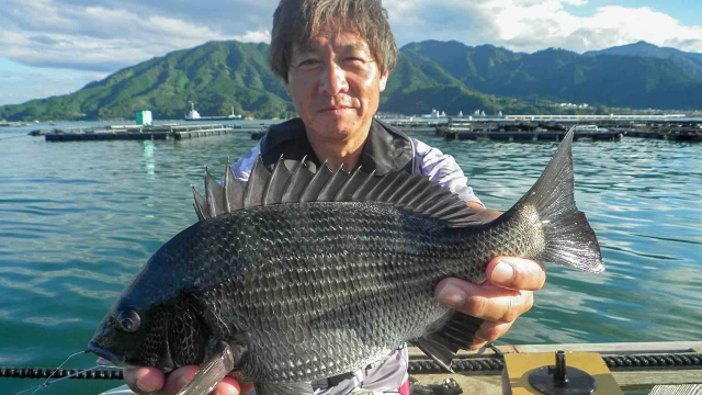 チヌ道一直線 其の六十八　エサ取りの猛攻を避けろ！いざ、三重県・天満浦のかかり釣りを極める！
