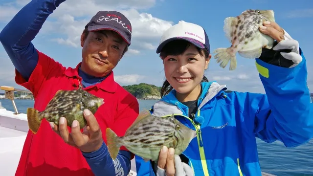 大漁！関東沖釣り爆釣会 その116 エサ盗り名人といざ勝負！長井沖のカワハギ