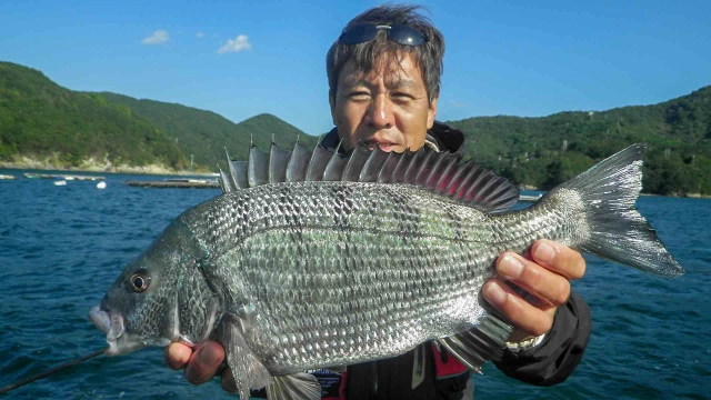 チヌ道一直線 其の六十九　季節外れのイガイチヌ！？いざ、三重県・宿浦のかかり釣りを極める！