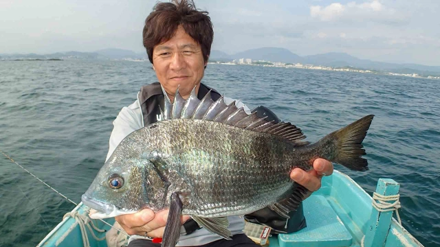 チヌ道一直線 其の七十二　田辺湾の新設カセ攻略！ナイーブな産卵期のチヌに挑む！
