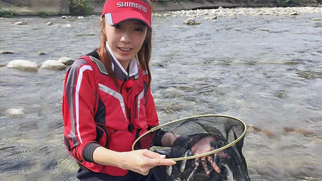 東北つれつれ団 39 青森県赤石川の金アユ