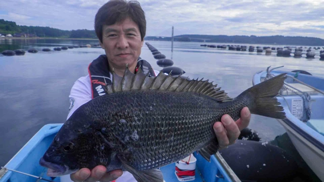 チヌ道一直線 其の七十三 初舞台攻略！北陸・七尾湾の大チヌに挑む！