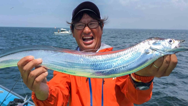 沖釣りギャラリー 東京湾 真夏のＬＴタチウオ