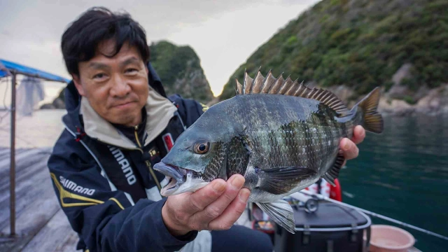 チヌ道一直線 其の七十七 チャンスをモノにせよ！気まぐれなノッコミのいぶし銀に挑む！