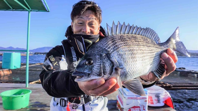 チヌ道一直線 其の八十二 厳寒期の田辺湾！超ロングインターバルの攻防を極める！