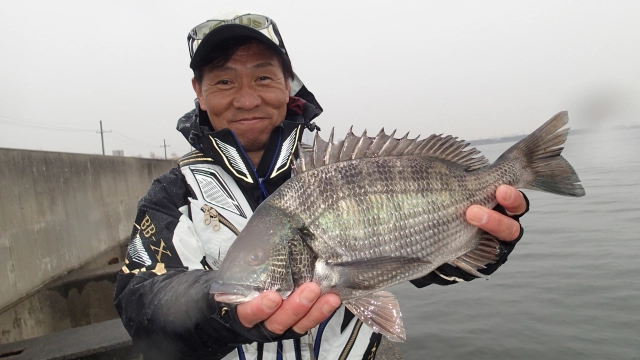チヌ道一直線 其の八十三 勝手知ったる大阪湾！いざ、早春のウキフカセ釣りを極める！
