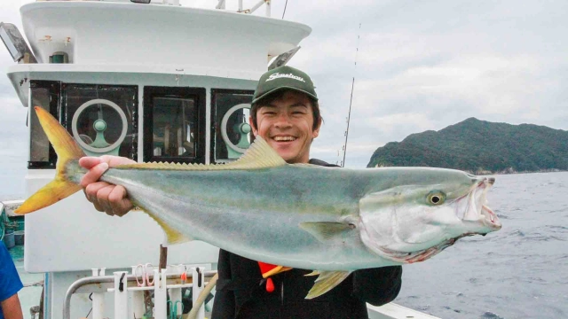 沖釣りギャラリー 徳島県 秋の落とし込み釣り