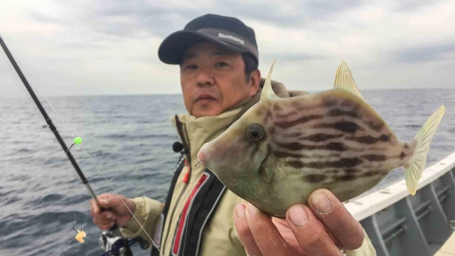 沖釣りギャラリー スナイパー釣法で攻略する晩秋のカワハギ