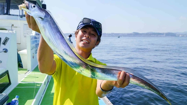 沖釣りギャラリー 逃さず掛けろ 東京湾のシャクリタチウオ