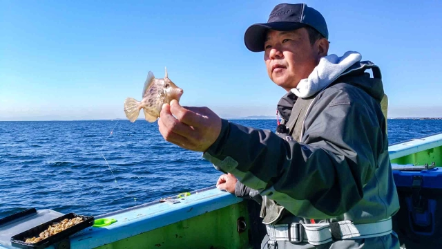 沖釣りギャラリー 東京湾で生まれたカワハギメソッド「スナイパー釣法」