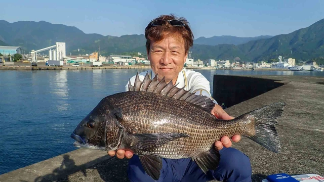 チヌ道一直線 96 最盛期のウキダンゴ釣り！いざ、尾鷲湾の大チヌに挑む！