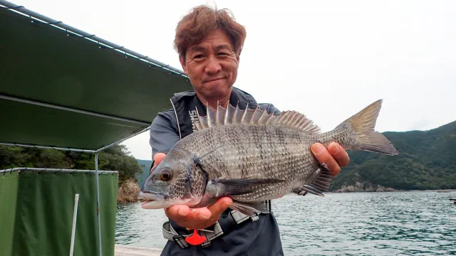 チヌ道一直線 104 高水温のピーク！番組初舞台・方座浦の大チヌに挑む！