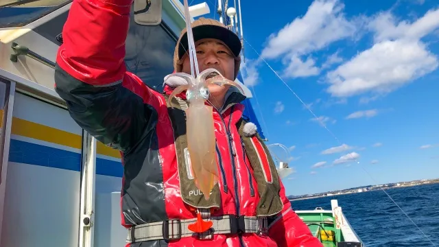 なるほど！沖釣りマスター 12 東京湾口のマルイカ釣りでなるほど！