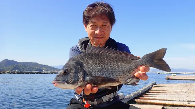 チヌ道一直線 110 黄金の右腕負傷！？秋の安芸灘でリハビリ釣行を楽しむ！