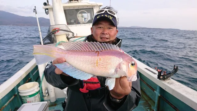 ディギングで大型連発！秋田県男鹿のアマダイ