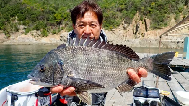 チヌ道一直線 113 約30年ぶりの和歌山県・小引！いざ、ノッコミの大チヌに挑む！