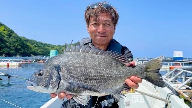 チヌ道一直線 114 宿毛湾・大海 憧れの地でまさかの大苦戦！