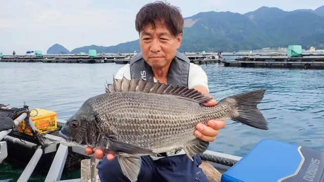 チヌ道一直線 115 チャンスを手繰り寄せろ！いざ、三重県・天満浦の巨チヌに挑む！